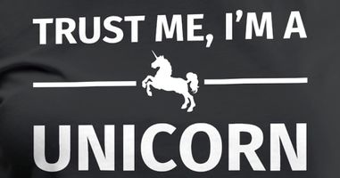 Unicorn Banner.jpg