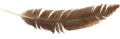Feather Banner.png