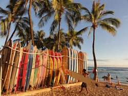 Waikiki Surf.JPG